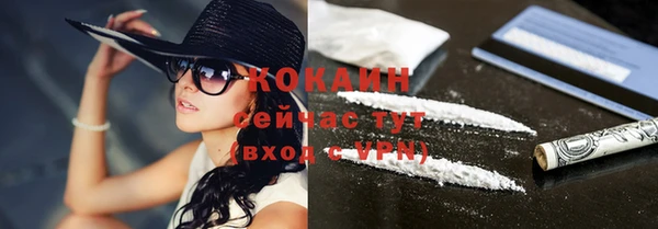 сатива Белокуриха