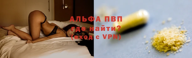 сатива Белокуриха