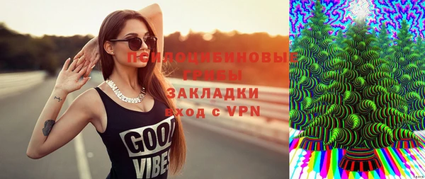 молекула духа Балахна