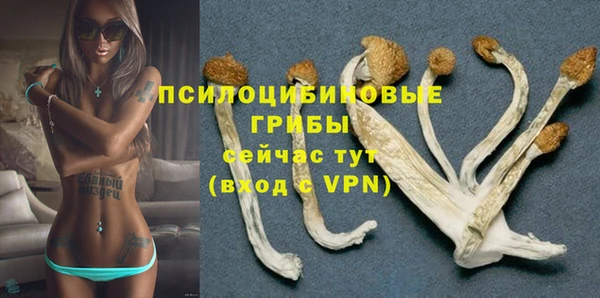 стаф Балабаново
