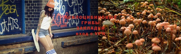 сатива Белокуриха