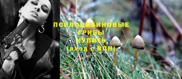 молекула духа Балахна